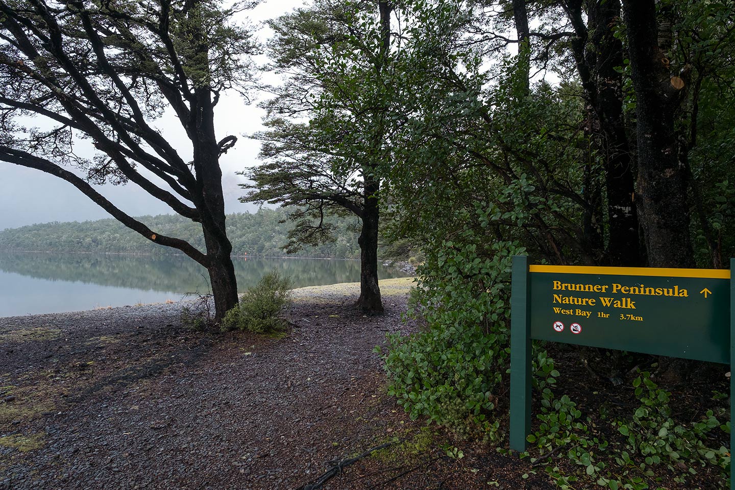 Brunner Peninsula Walk, Nelson Lakes National Park, New Zealand