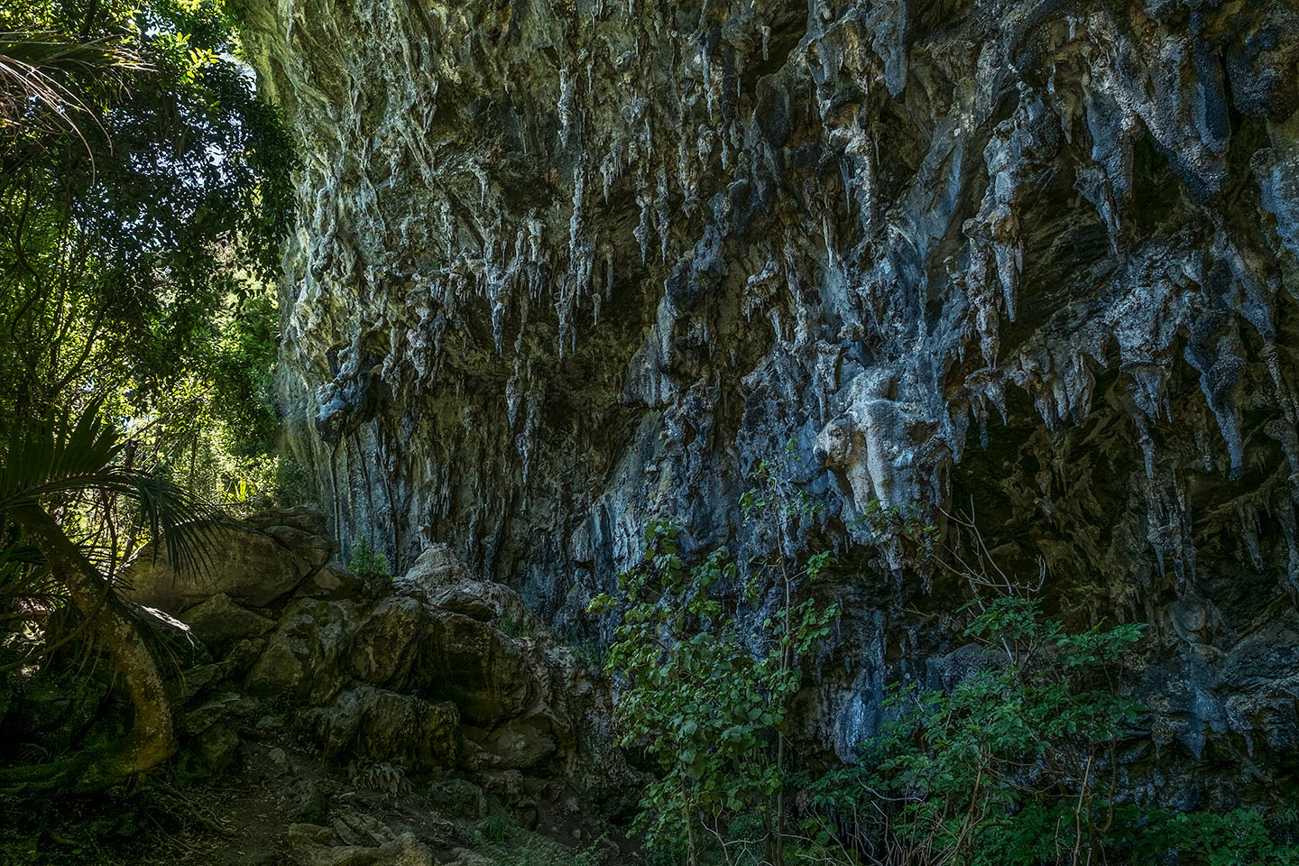 Rawhiti Cave, Abel Tasman National Park, Golden Bay, New Zealand