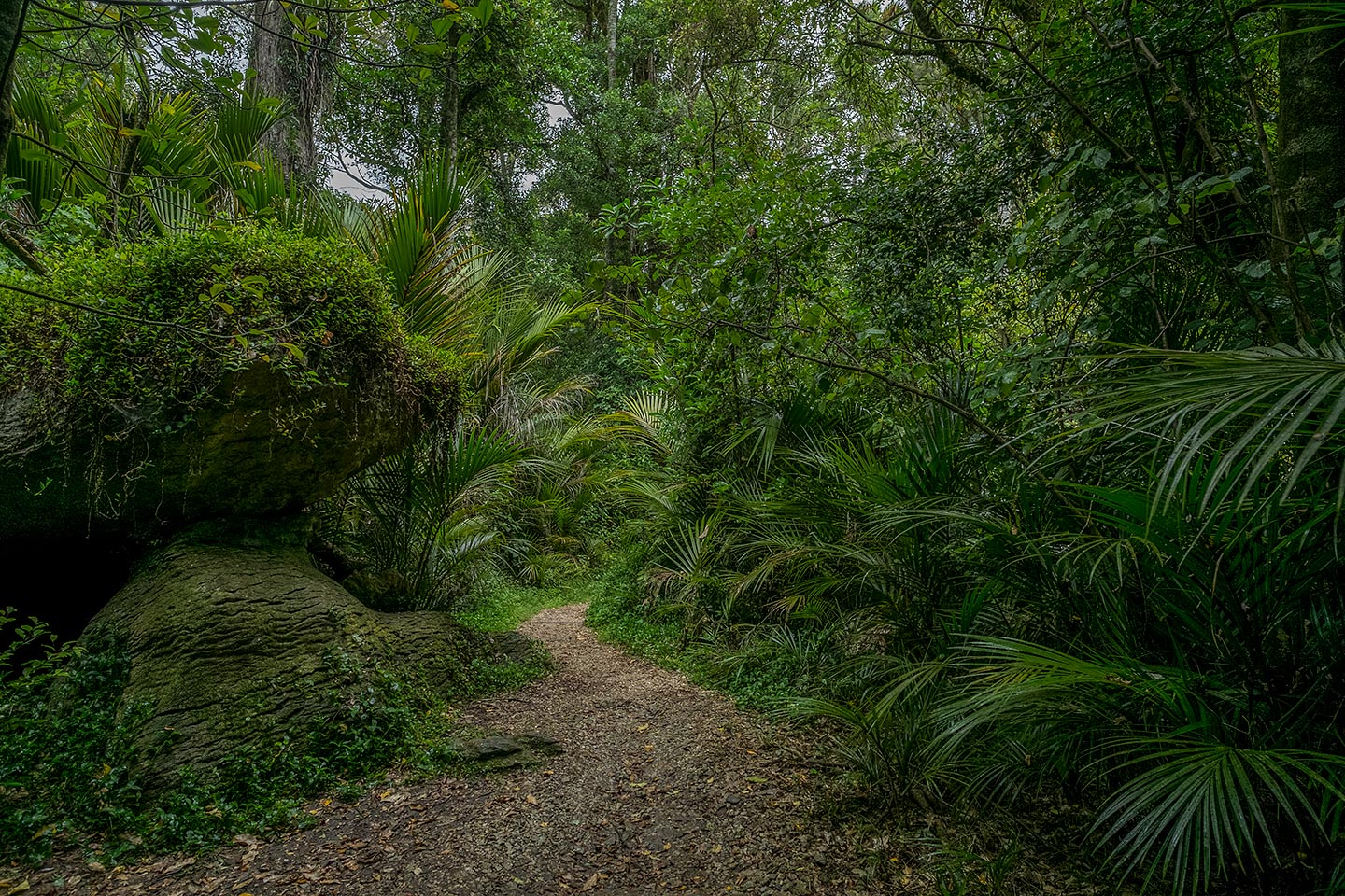 The Grove Scenic Reserve, Abel Tasman National Park, Golden Bay, New Zealand