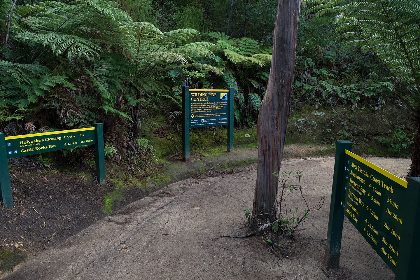 Abel Tasman Coast Track, Abel Tasman National Park, New Zealand