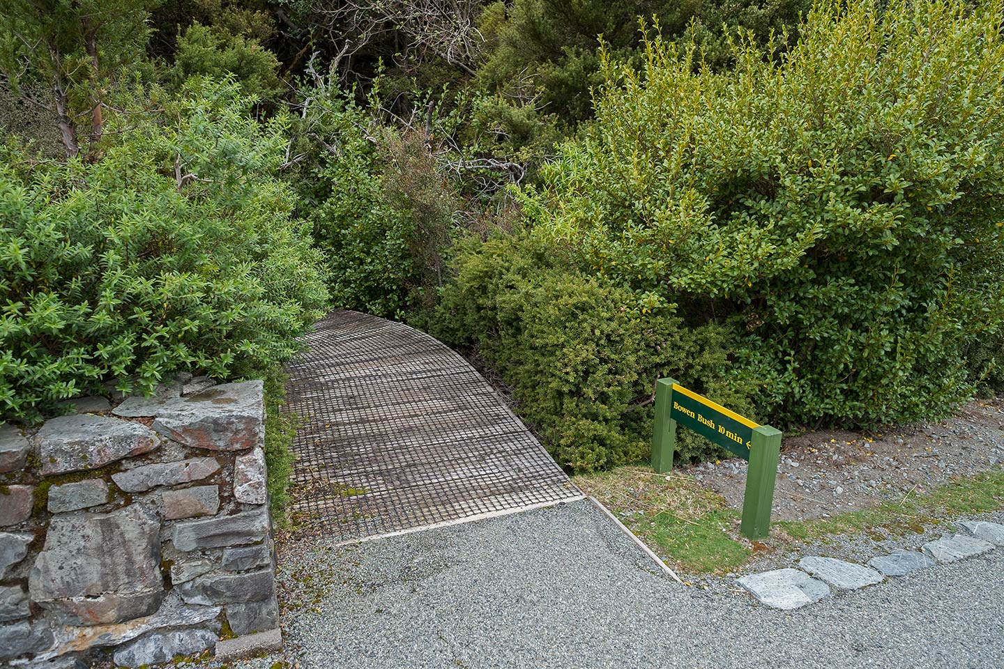 Bowen Bush Walk, Aoraki Mount Cook National Park, New Zealand
