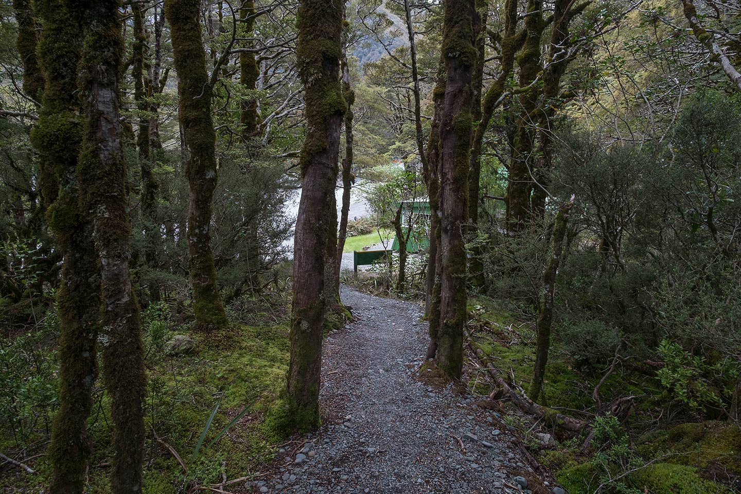 Arthur's Pass Walking Track, Arthur's Pass National Park, New Zealand