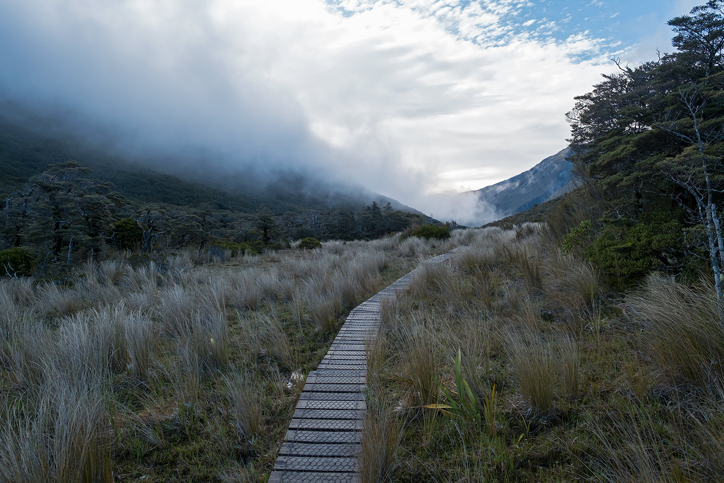Bealey Valley Track, Arthur's Pass National Park, New Zealand