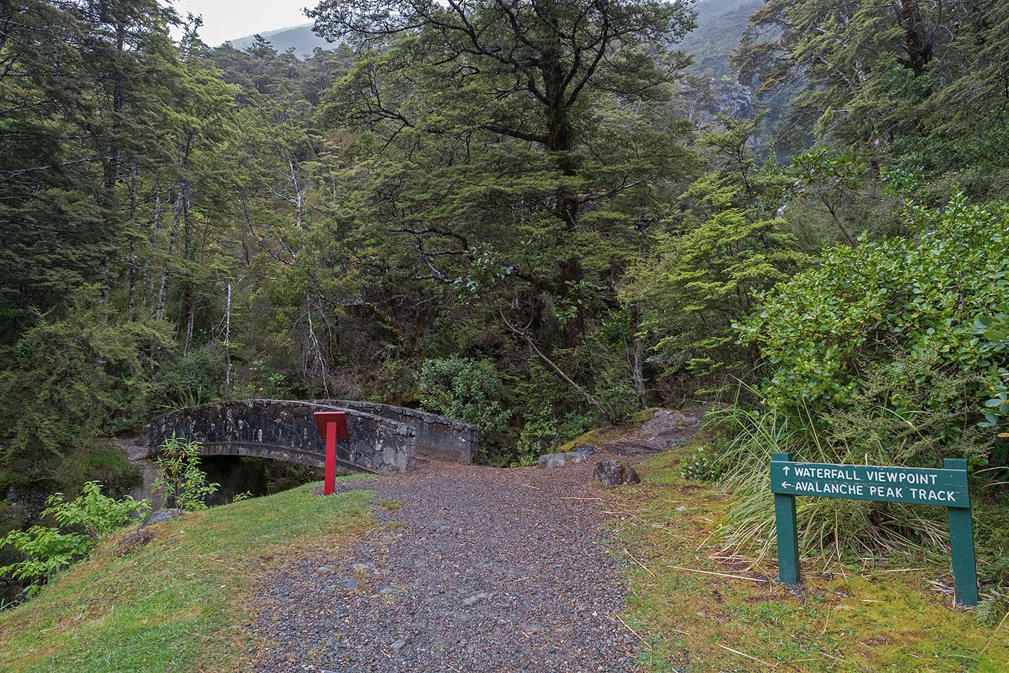 Millennium Walk, Arthur's Pass National Park, New Zealand