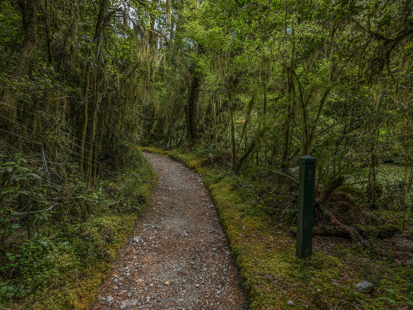 Milford Track, Fiordland National Park, New Zealand