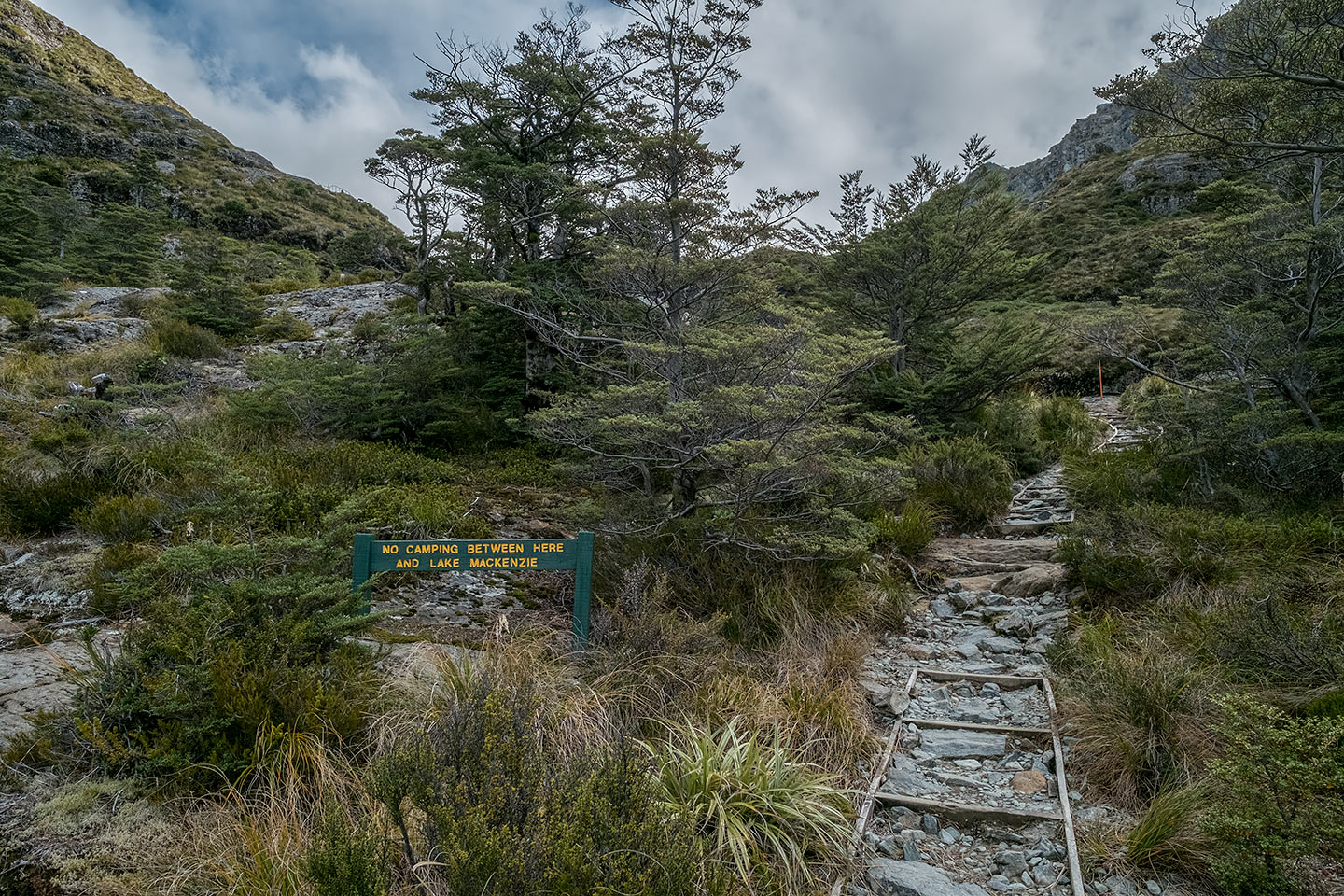 Routeburn Track, Mount Aspiring National Park and Fiordland National Park, New Zealand