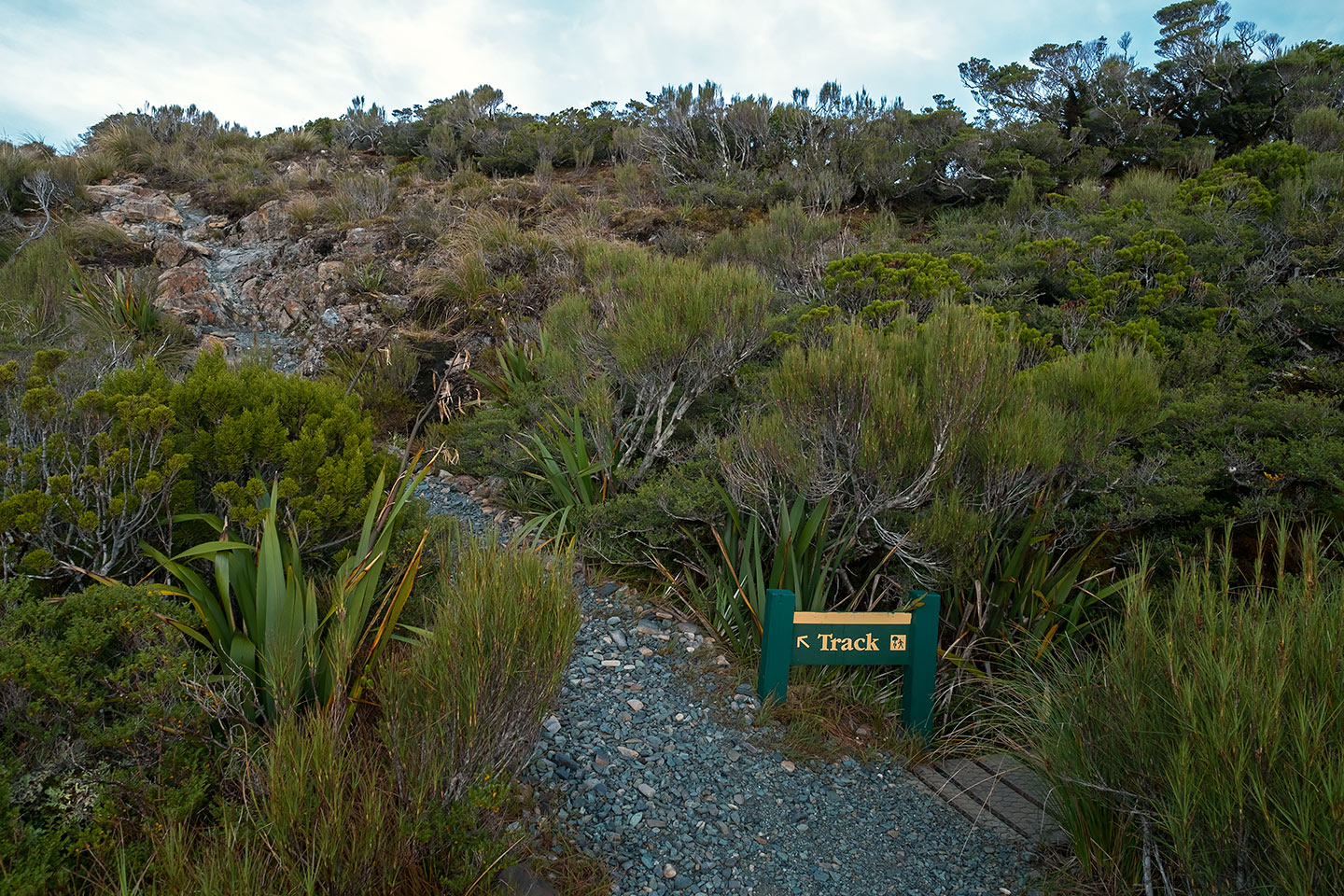 Routeburn Track, Mount Aspiring National Park and Fiordland National Park, New Zealand
