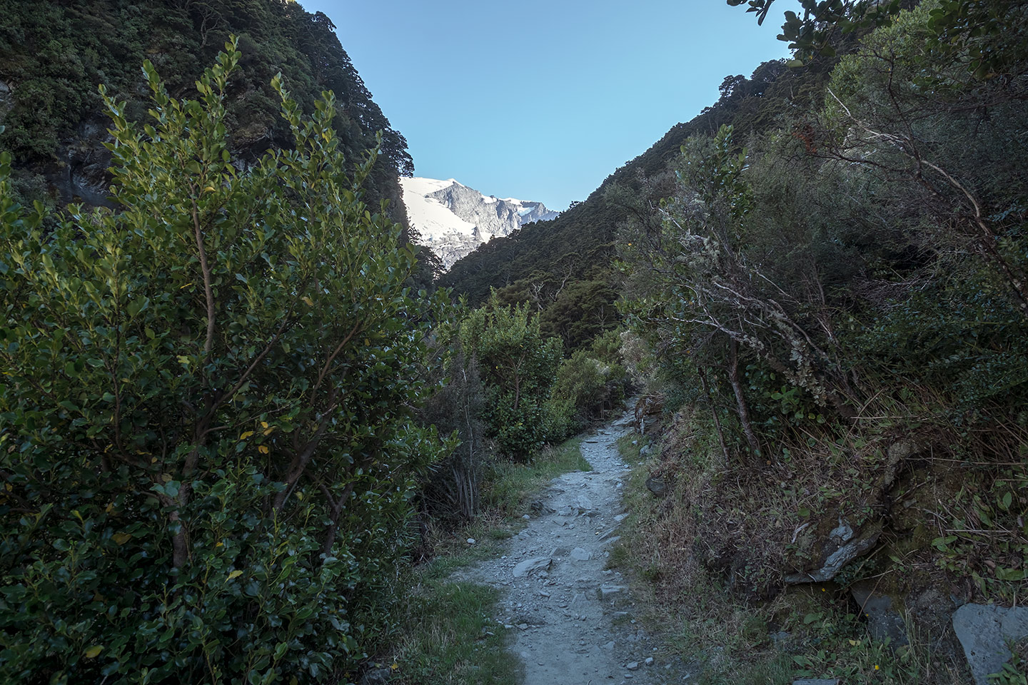 Rob Roy Valley, Mount Aspiring National Park, New Zealand