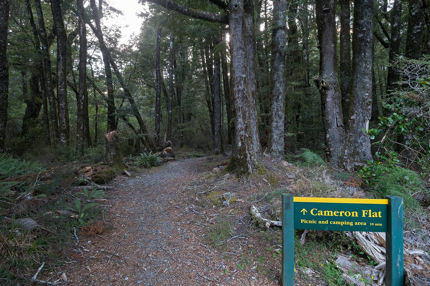 Cameron Flat Nature Walk, Mount Aspiring National Park, New Zealand