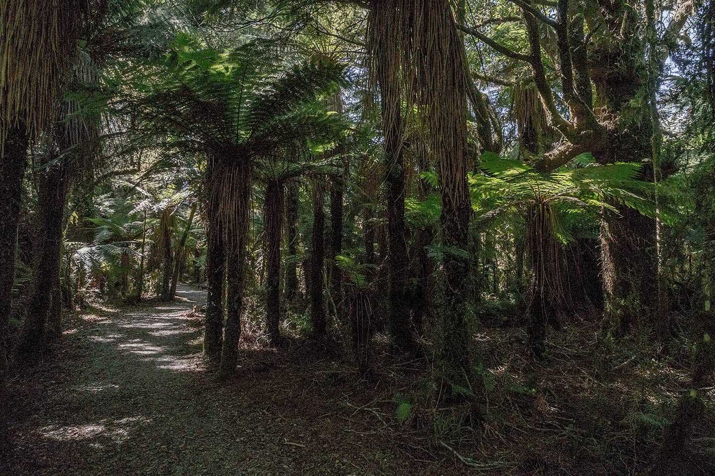 Roaring Billy Falls, Mount Aspiring National Park, New Zealand