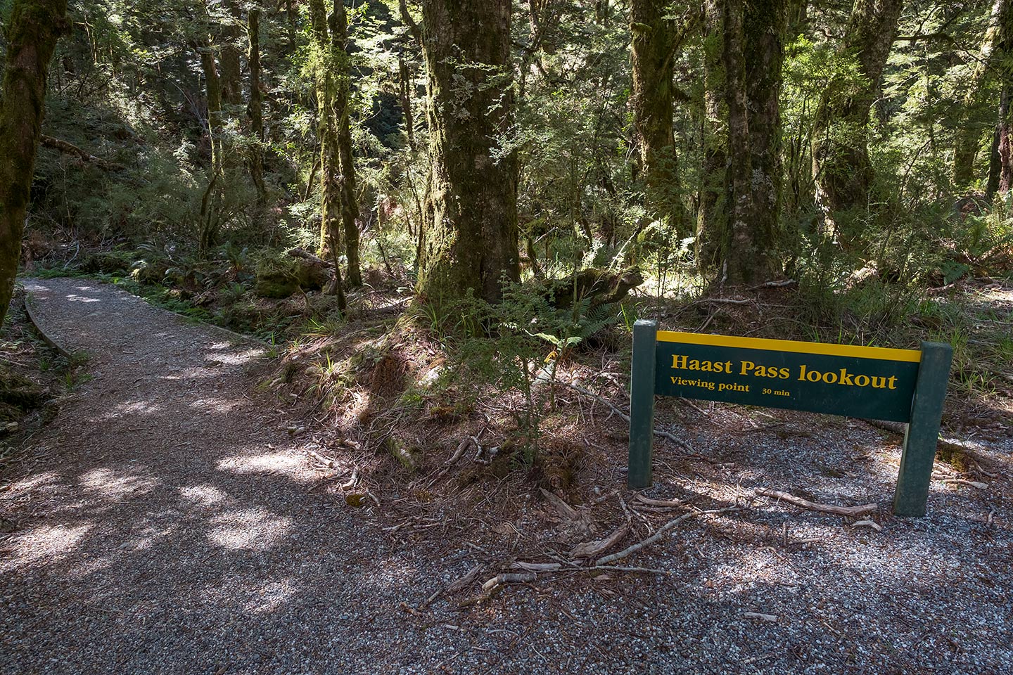 Haast Pass Tioripatea Lookout, Mount Aspiring National Park, New Zealand
