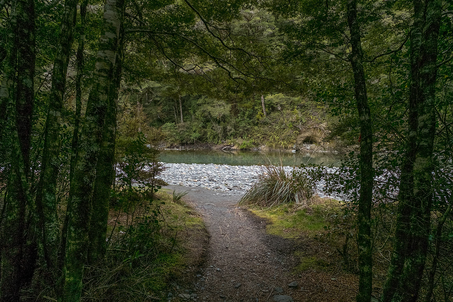 Fantail Falls, Mount Aspiring National Park, New Zealand