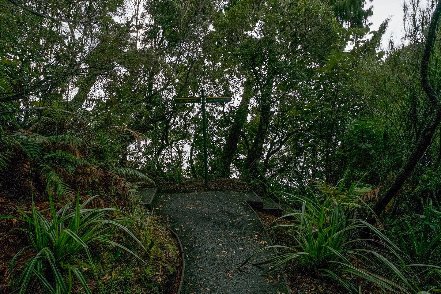 Ulva Island, Rakiura National Park, New Zealand