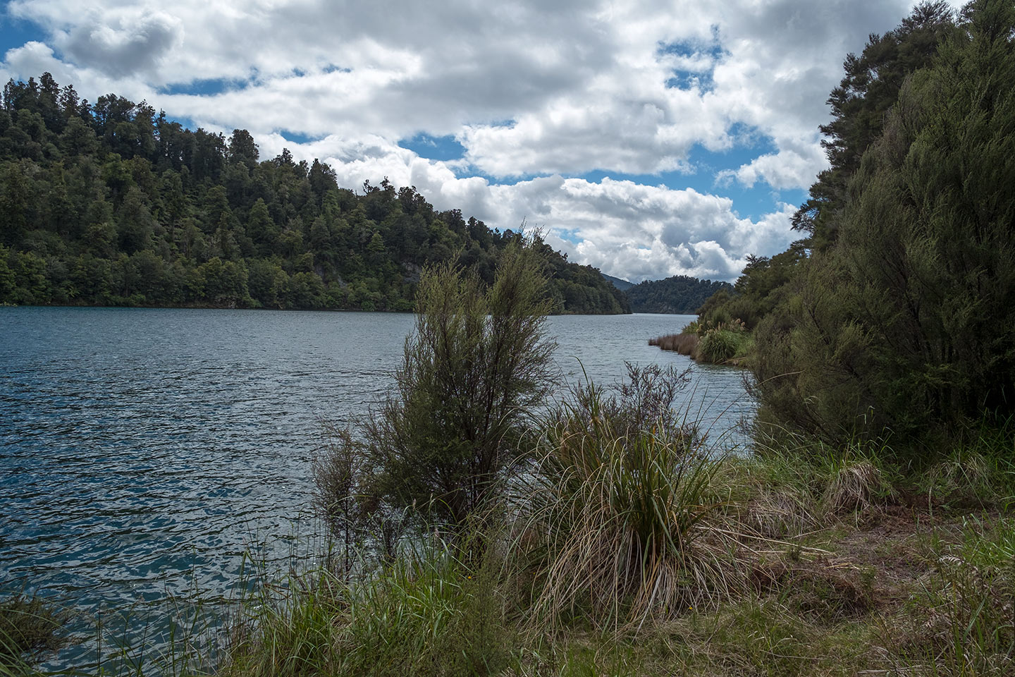 Lake Waikaremoana Great Walk, Te Urewera, New Zealand